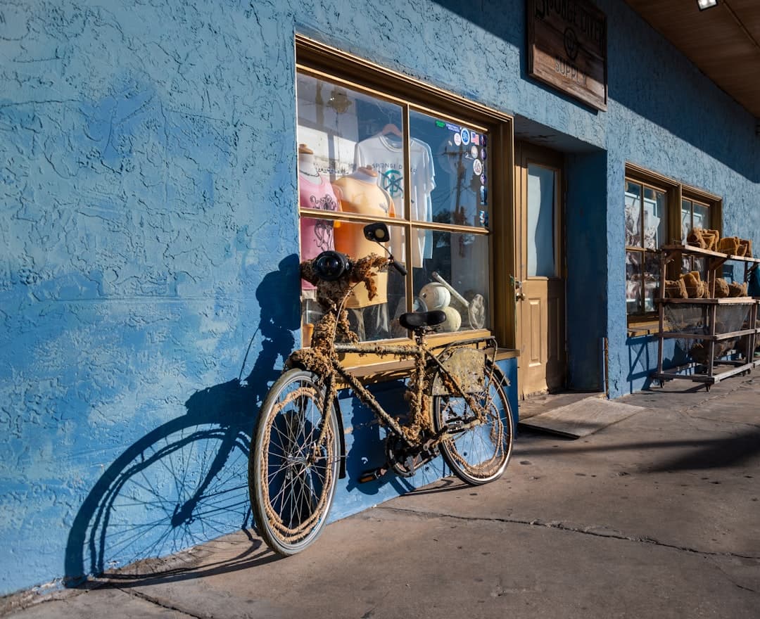 Tarpon Springs, Pinellas County, Florida — vacation rental service area